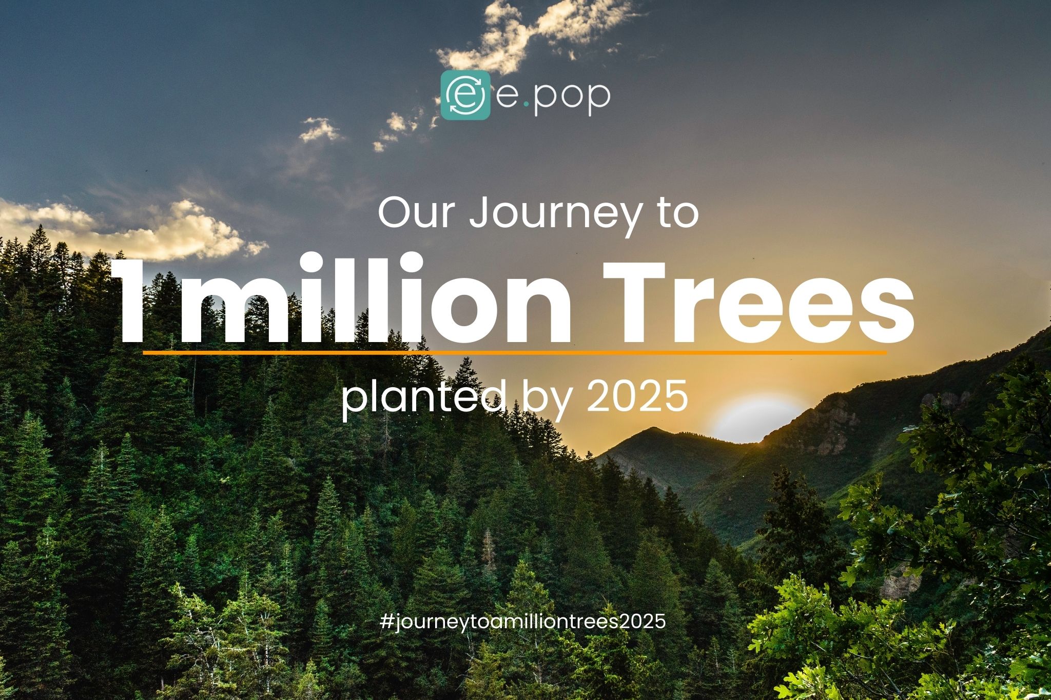 Our journey to 1 milliion trees 2025